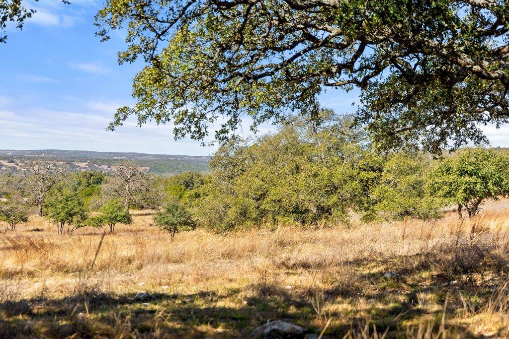 529 Skyline Drive Blanco TX 78606