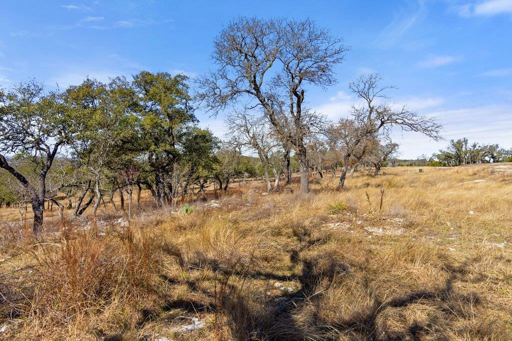 529 Skyline Drive Blanco TX 78606
