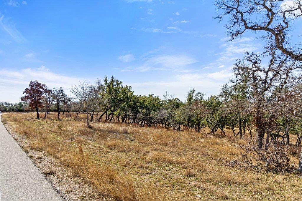 529 Skyline Drive Blanco TX 78606