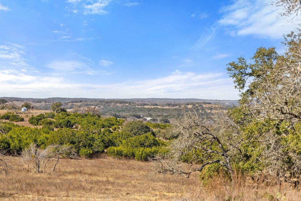 529 Skyline Drive Blanco TX 78606