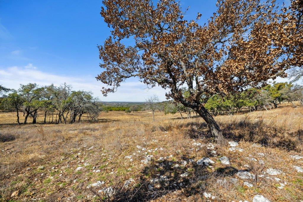 529 Skyline Drive Blanco TX 78606