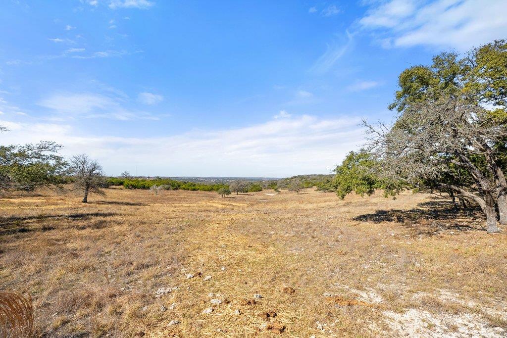 529 Skyline Drive Blanco TX 78606