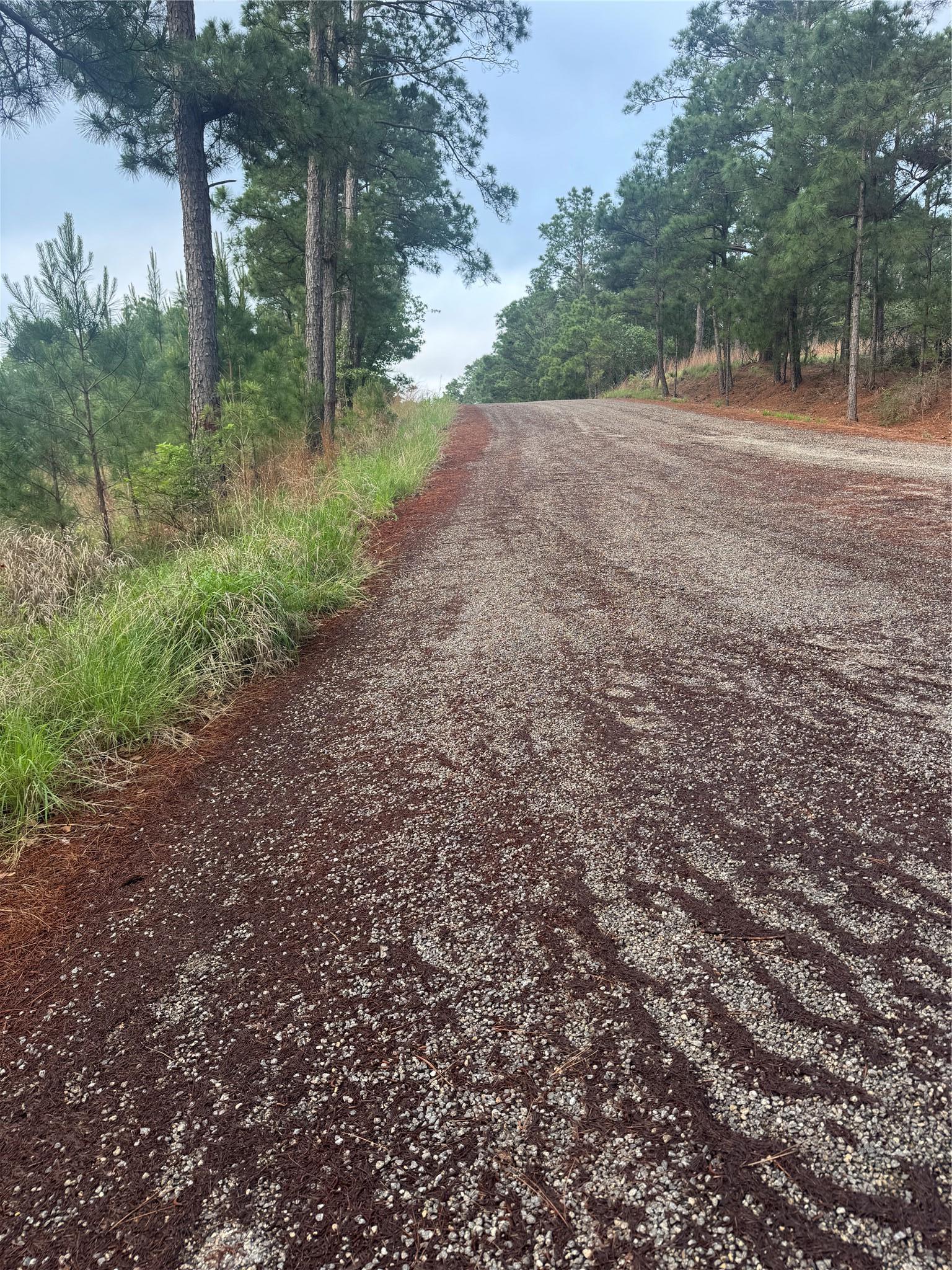 Lot 1491 Haleakala Bastrop TX 78602