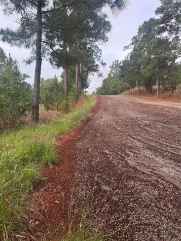 Lot 1491 Haleakala Bastrop TX 78602