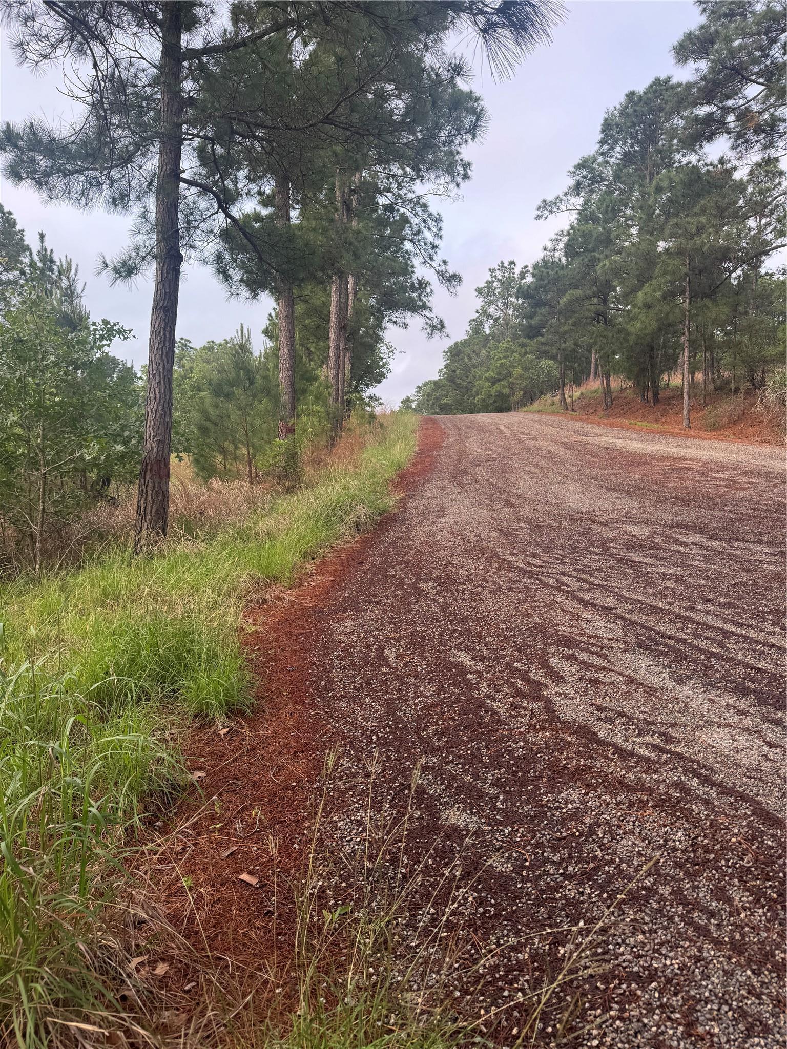 Lot 1491 Haleakala Bastrop TX 78602