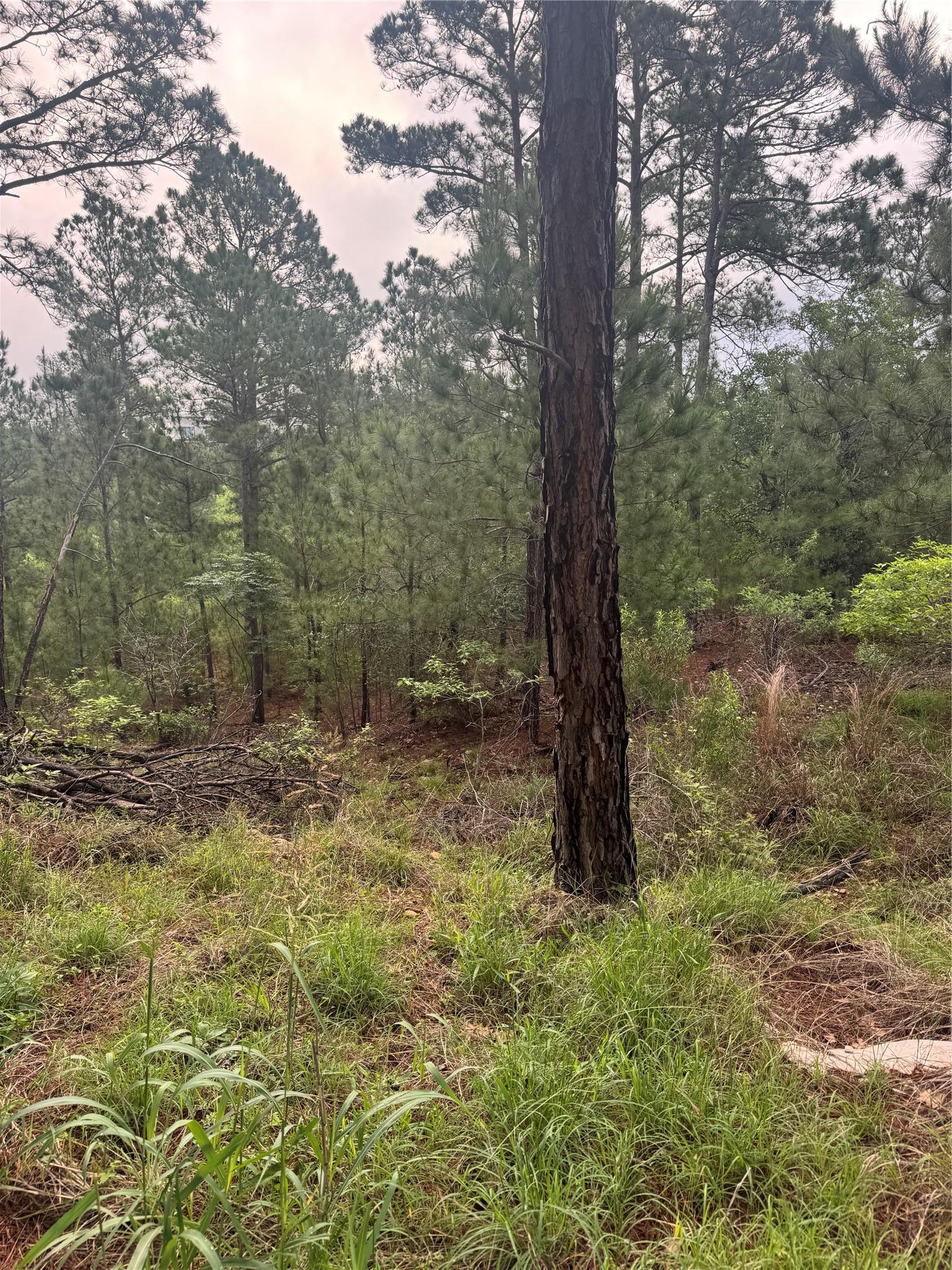 Lot 1491 Haleakala Bastrop TX 78602