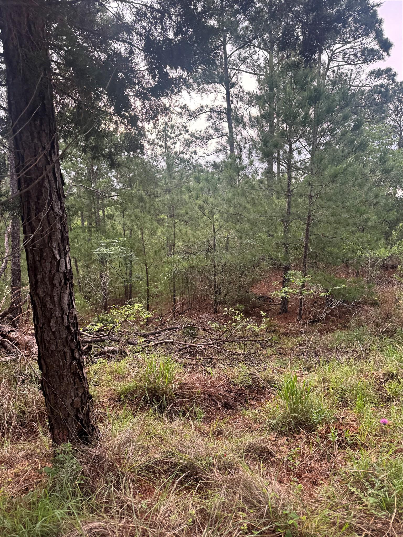 Lot 1491 Haleakala Bastrop TX 78602