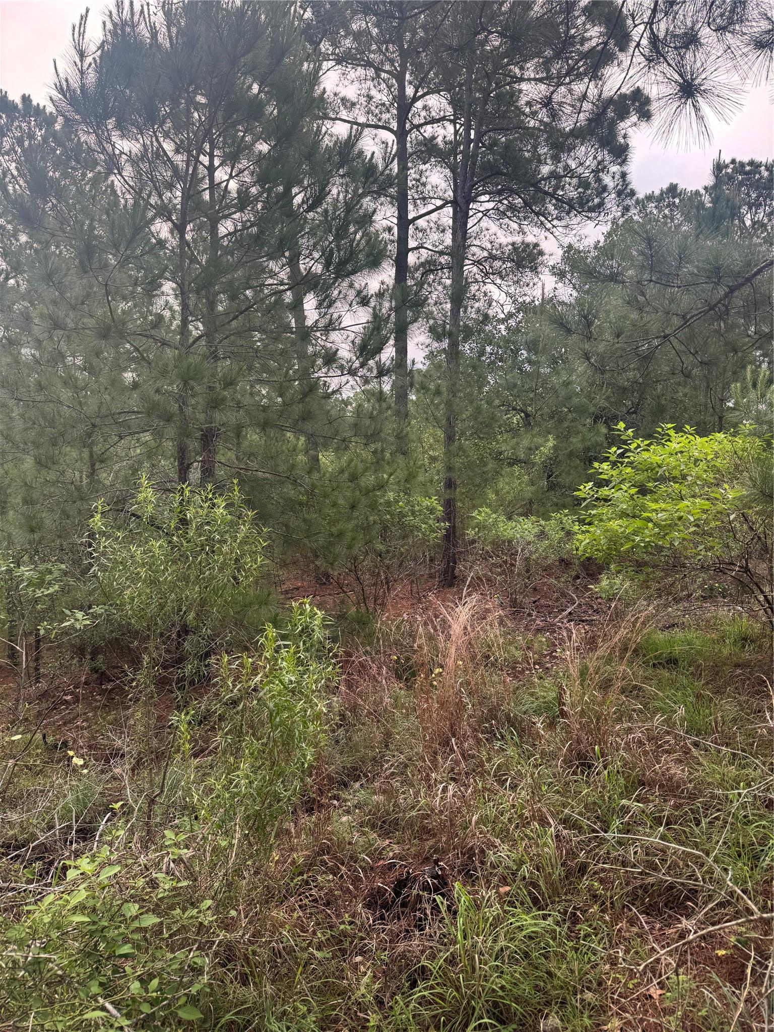 Lot 1491 Haleakala Bastrop TX 78602