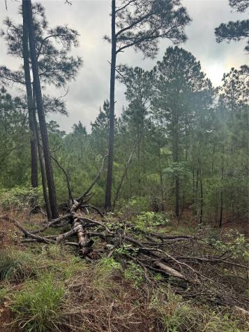 Lot 1491 Haleakala Bastrop TX 78602