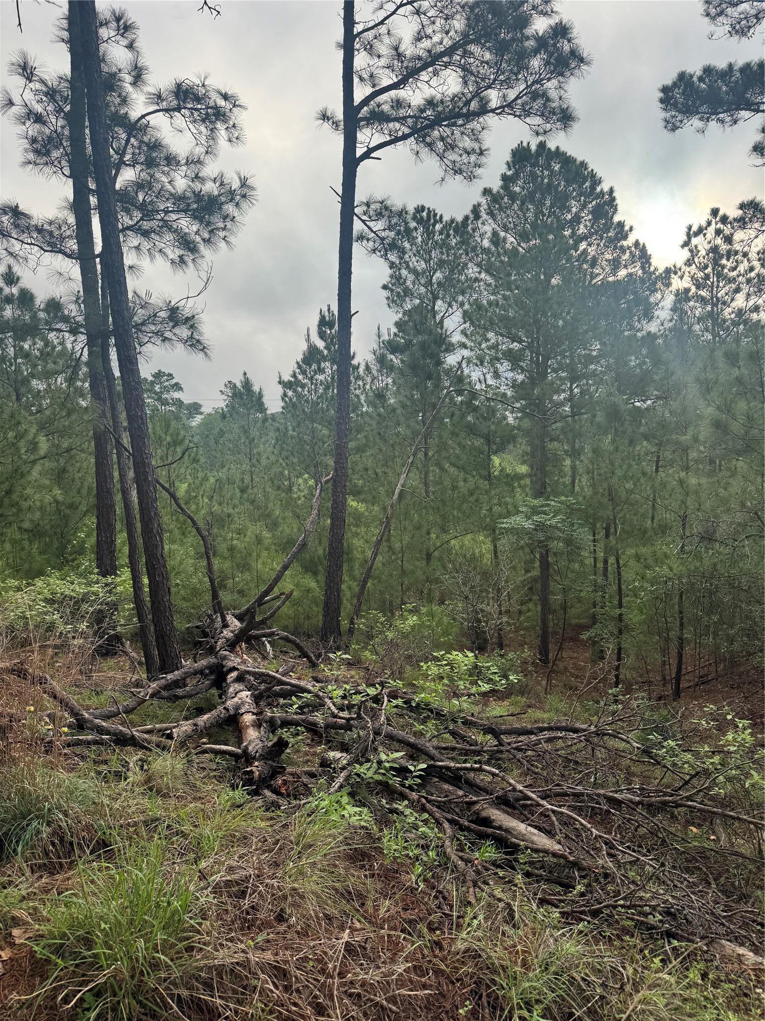 Lot 1491 Haleakala Bastrop TX 78602
