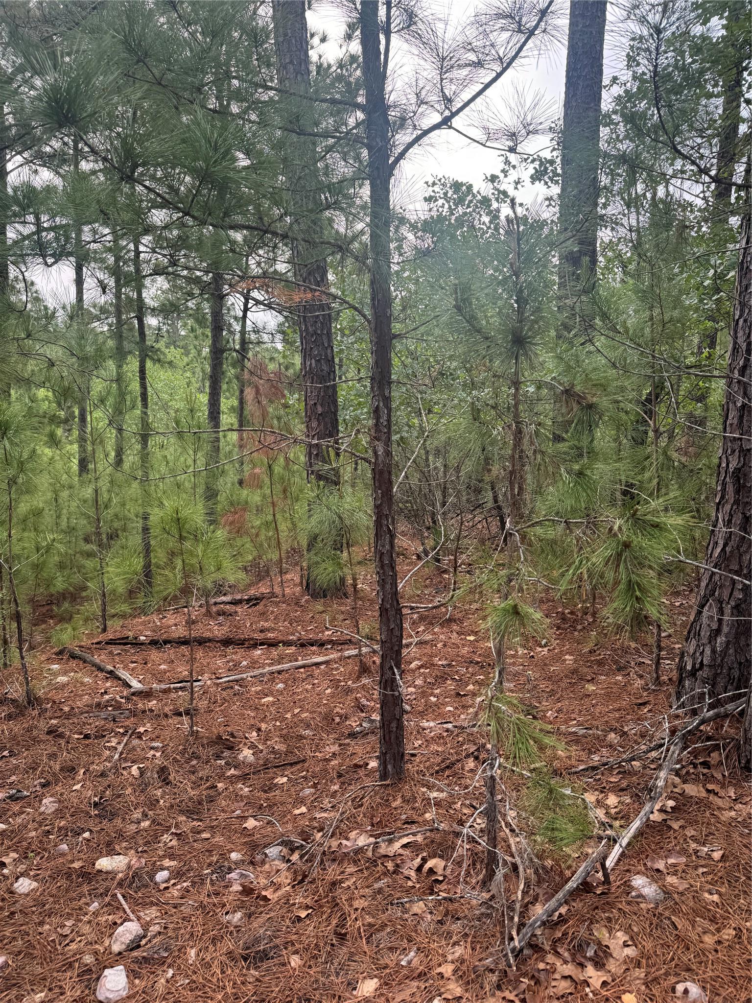 Lot 1491 Haleakala Bastrop TX 78602