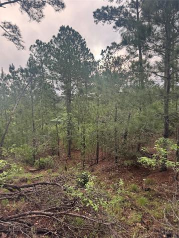 Lot 1491 Haleakala Bastrop TX 78602