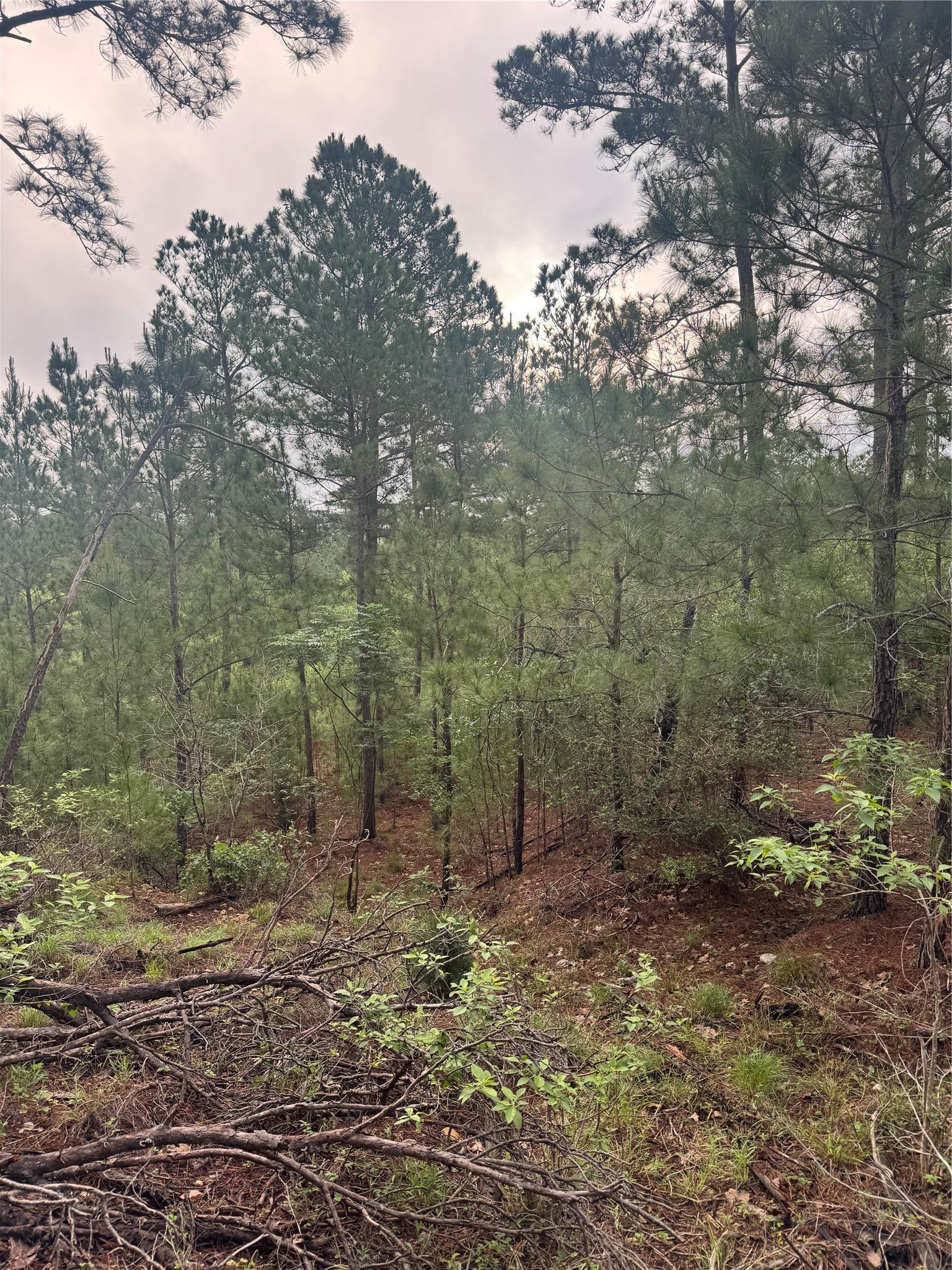 Lot 1491 Haleakala Bastrop TX 78602