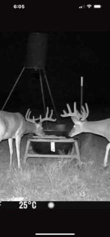 542 Co Road 2275 Lampasas TX 76550