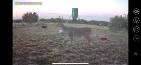 542 Co Road 2275 Lampasas TX 76550