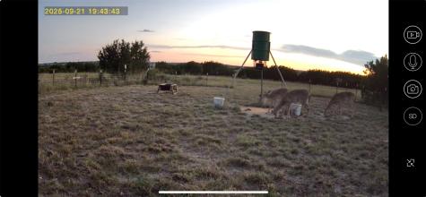 542 Co Road 2275 Lampasas TX 76550