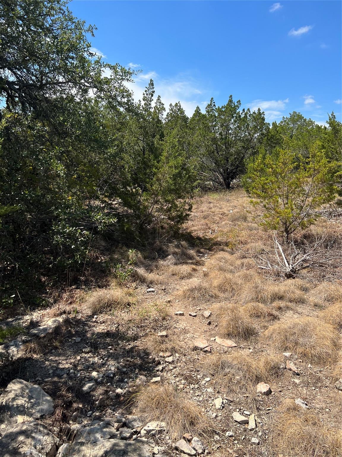 20700 Overland Trail Lago Vista TX 78645