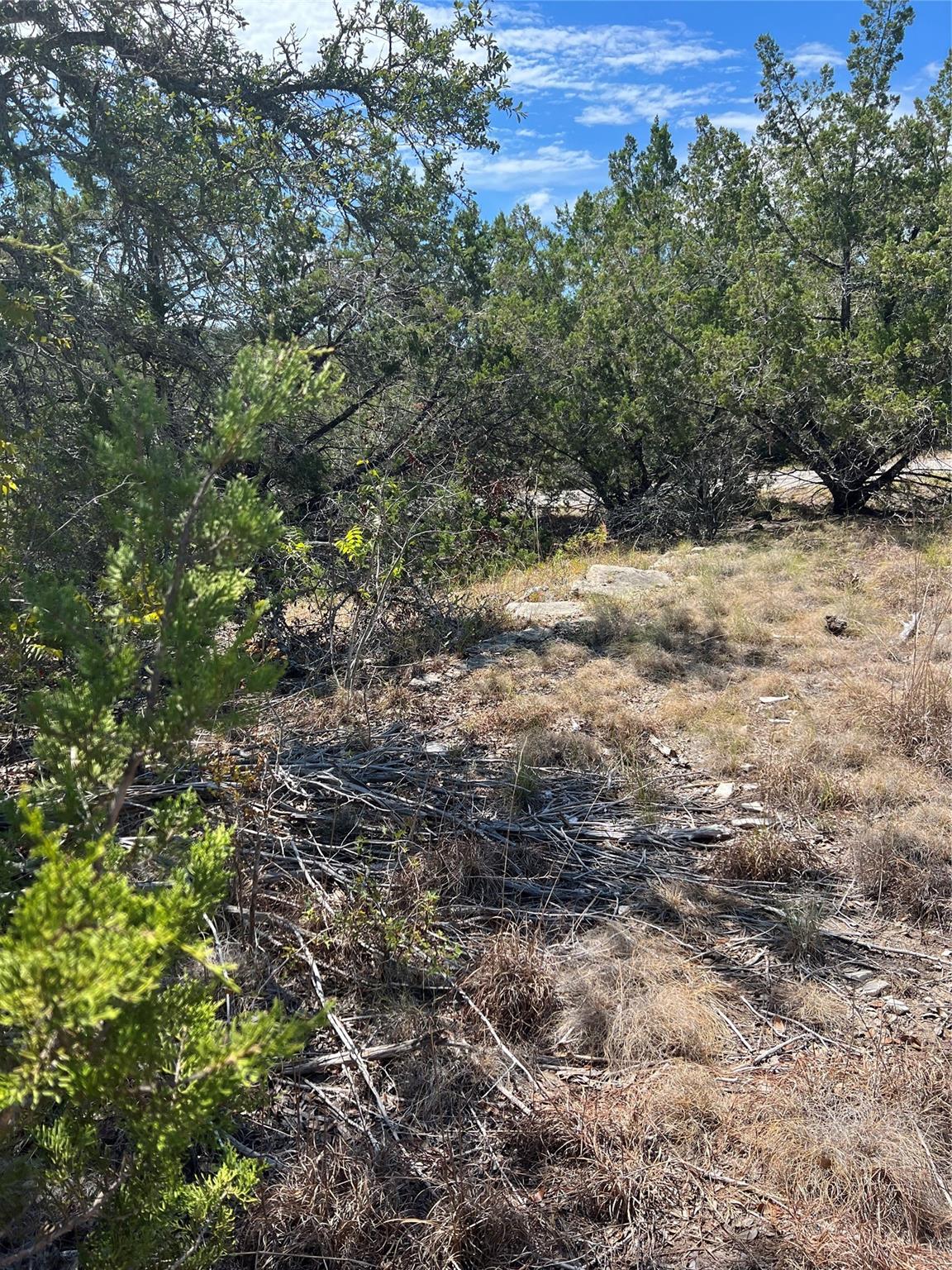 20700 Overland Trail Lago Vista TX 78645