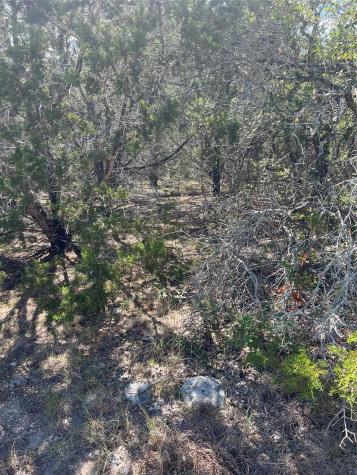 20700 Overland Trail Lago Vista TX 78645