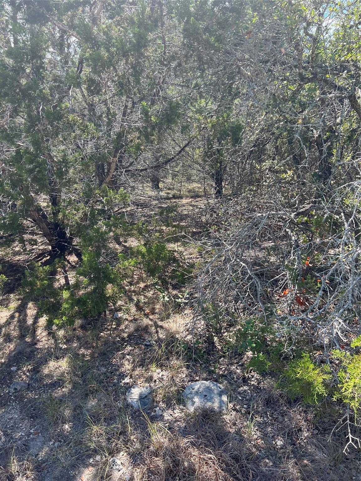 20700 Overland Trail Lago Vista TX 78645