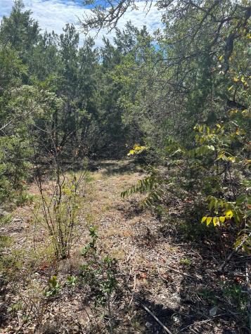 20700 Overland Trail Lago Vista TX 78645
