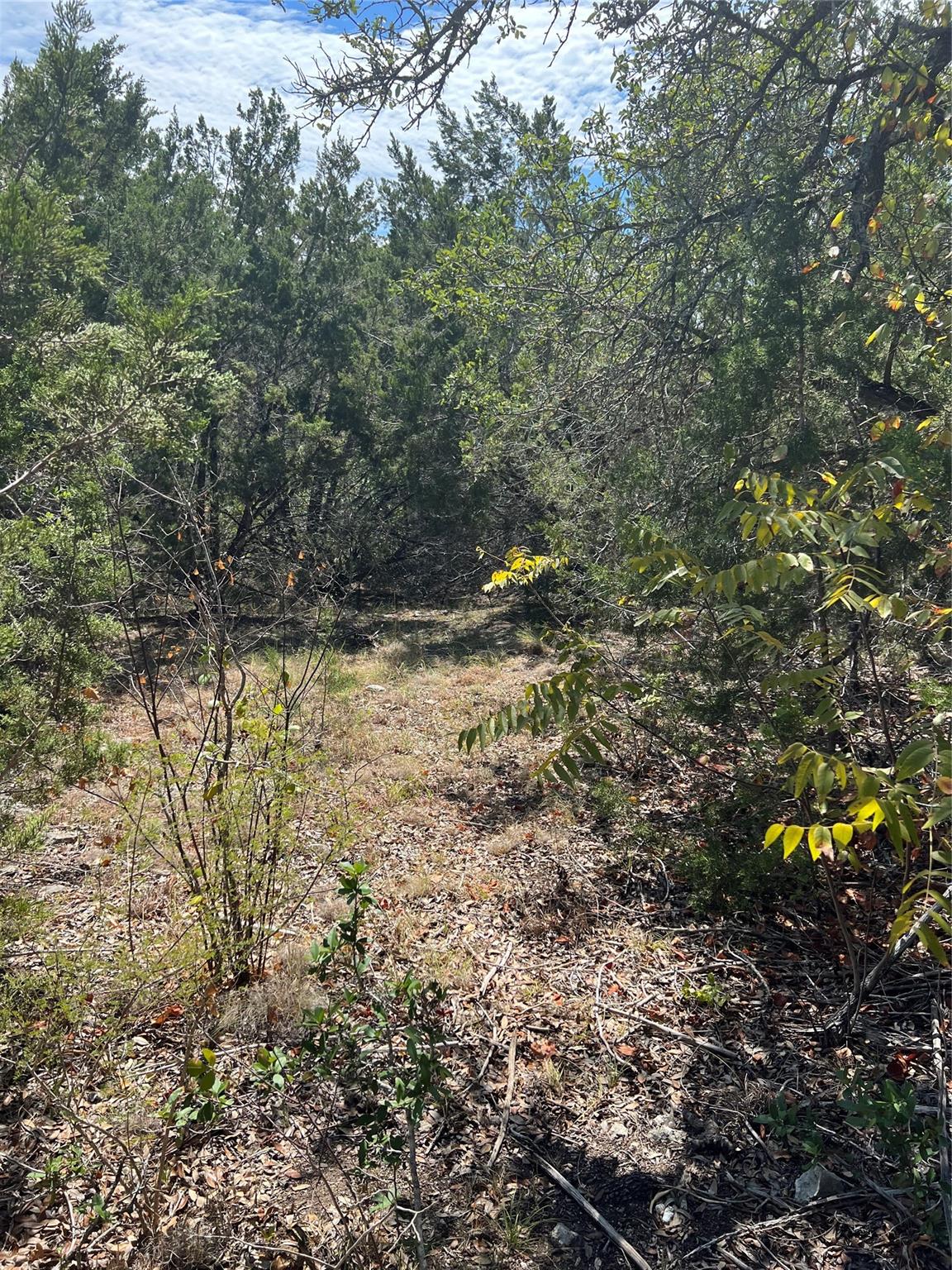 20700 Overland Trail Lago Vista TX 78645