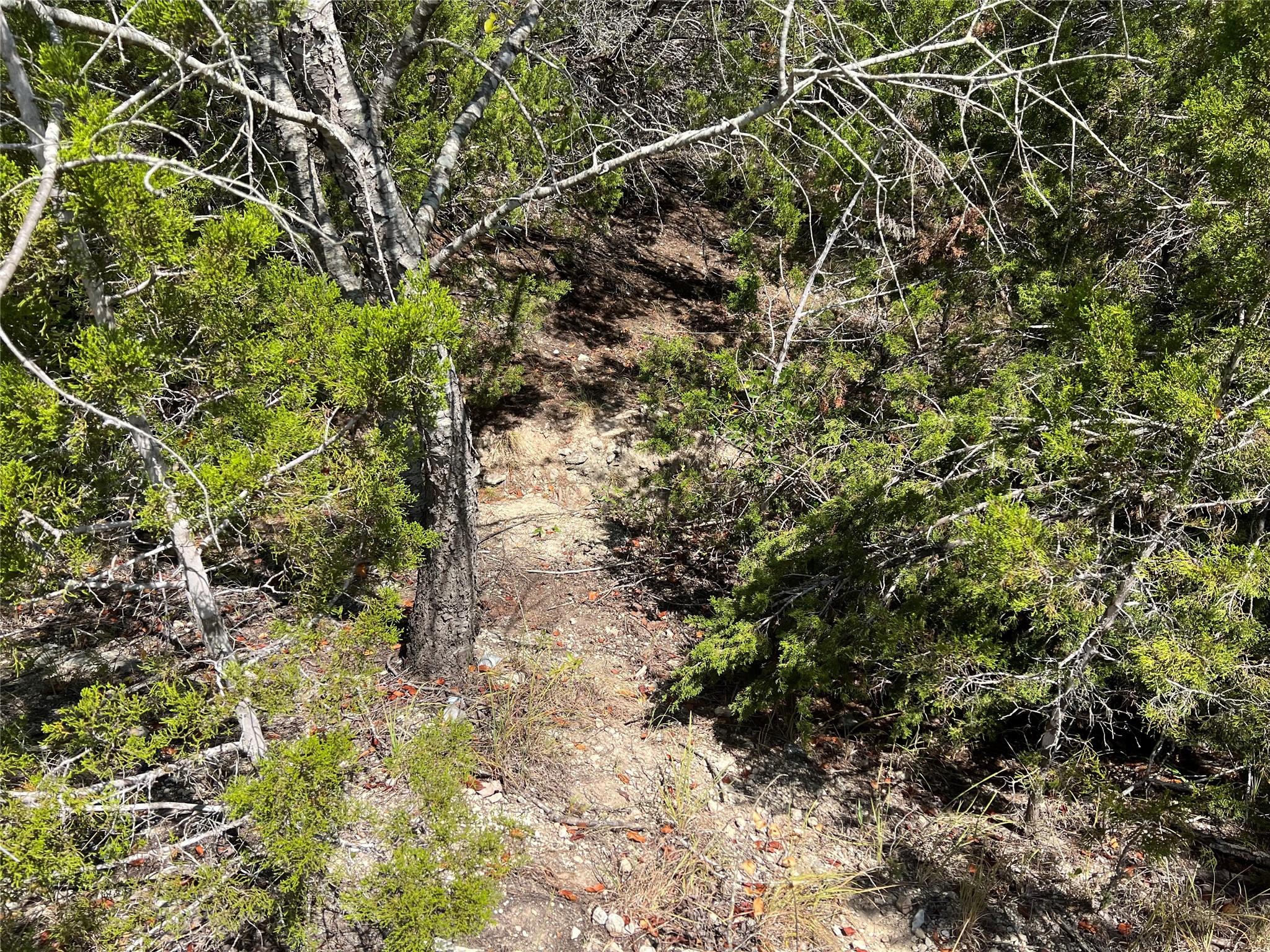 20700 Overland Trail Lago Vista TX 78645