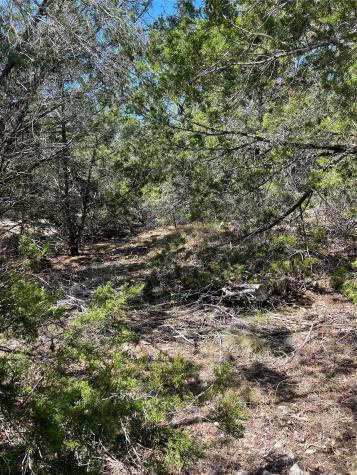 20700 Overland Trail Lago Vista TX 78645