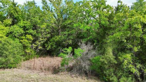Tbd Tract 2 Fm 180 Ledbetter TX 78946
