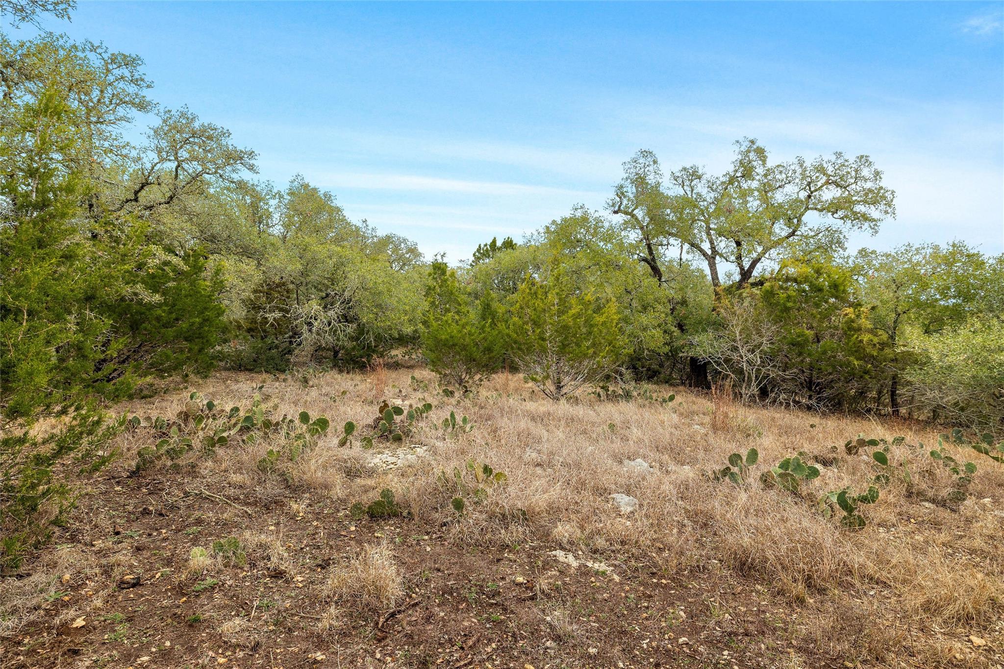 1080 Beauchamp Road Dripping Springs TX 78620