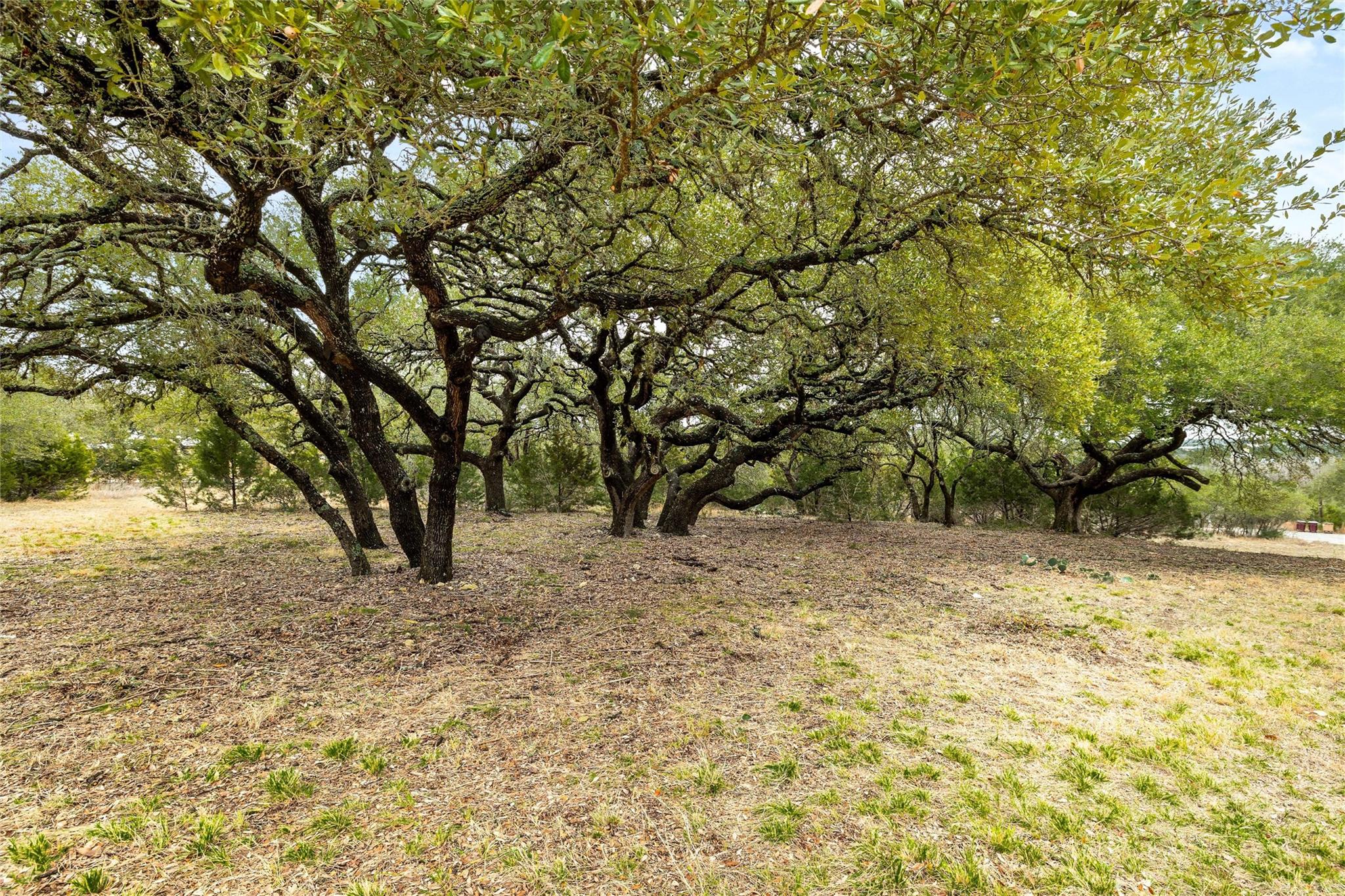 1080 Beauchamp Road Dripping Springs TX 78620