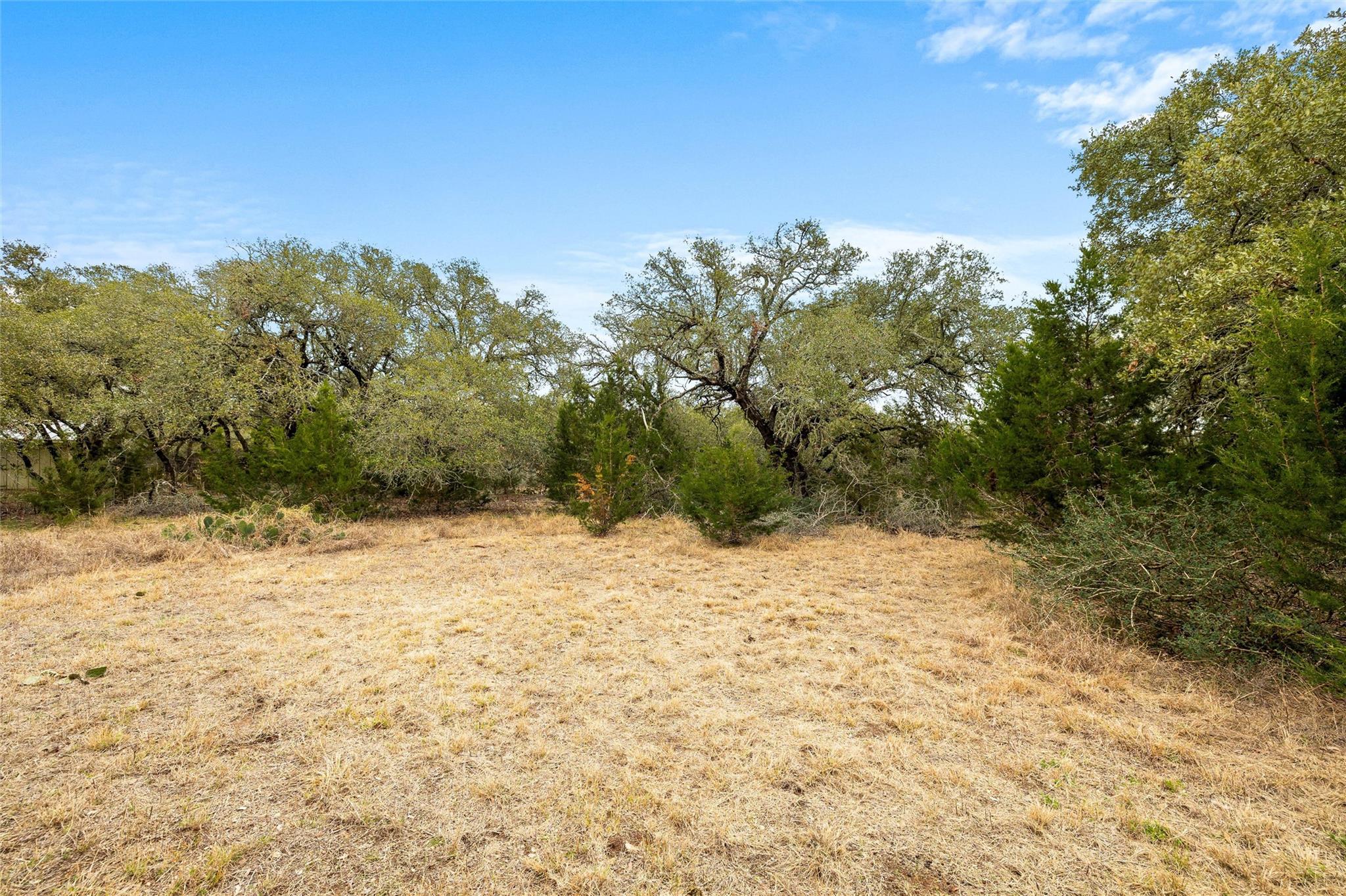1080 Beauchamp Road Dripping Springs TX 78620