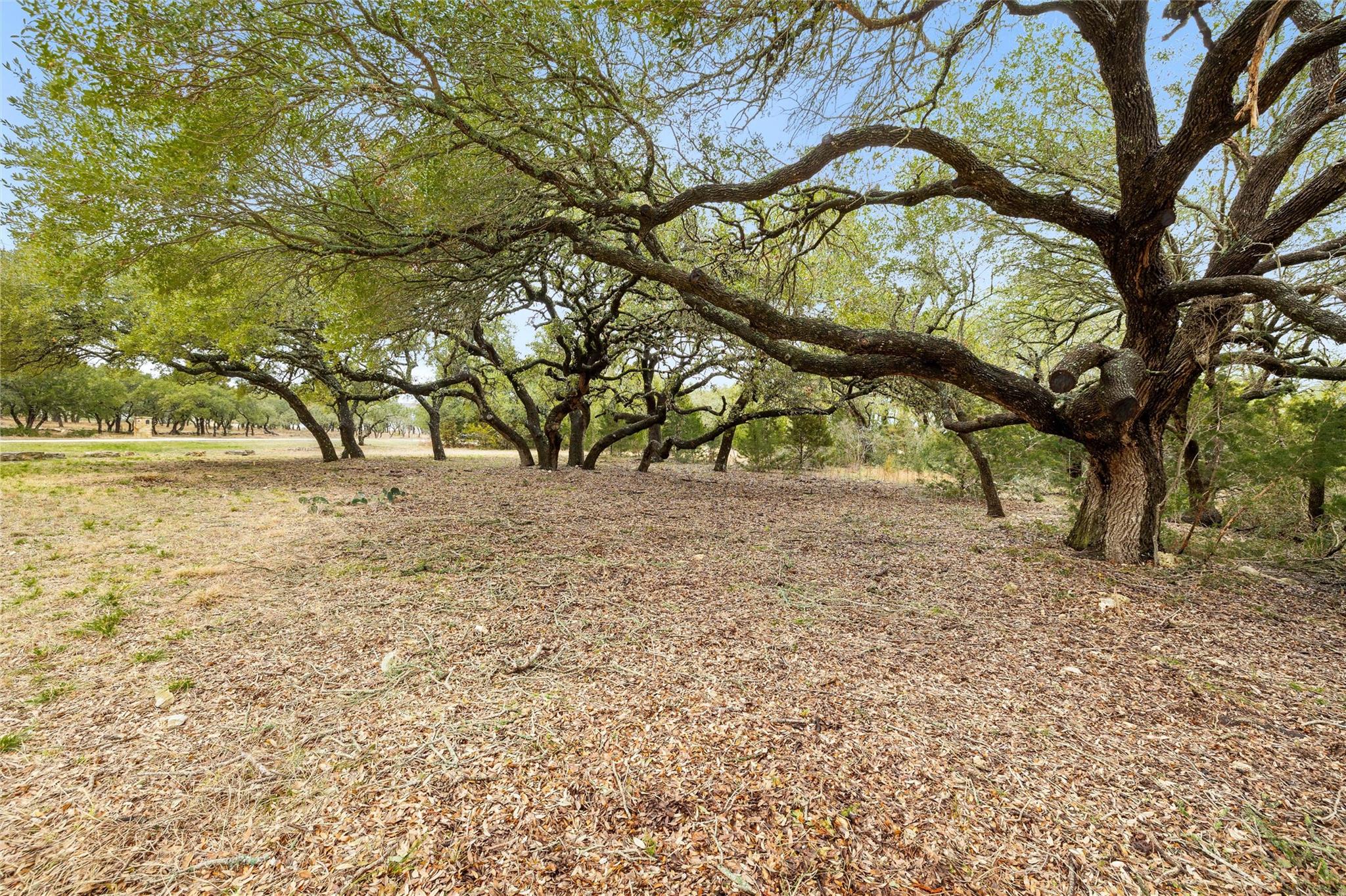 1080 Beauchamp Road Dripping Springs TX 78620