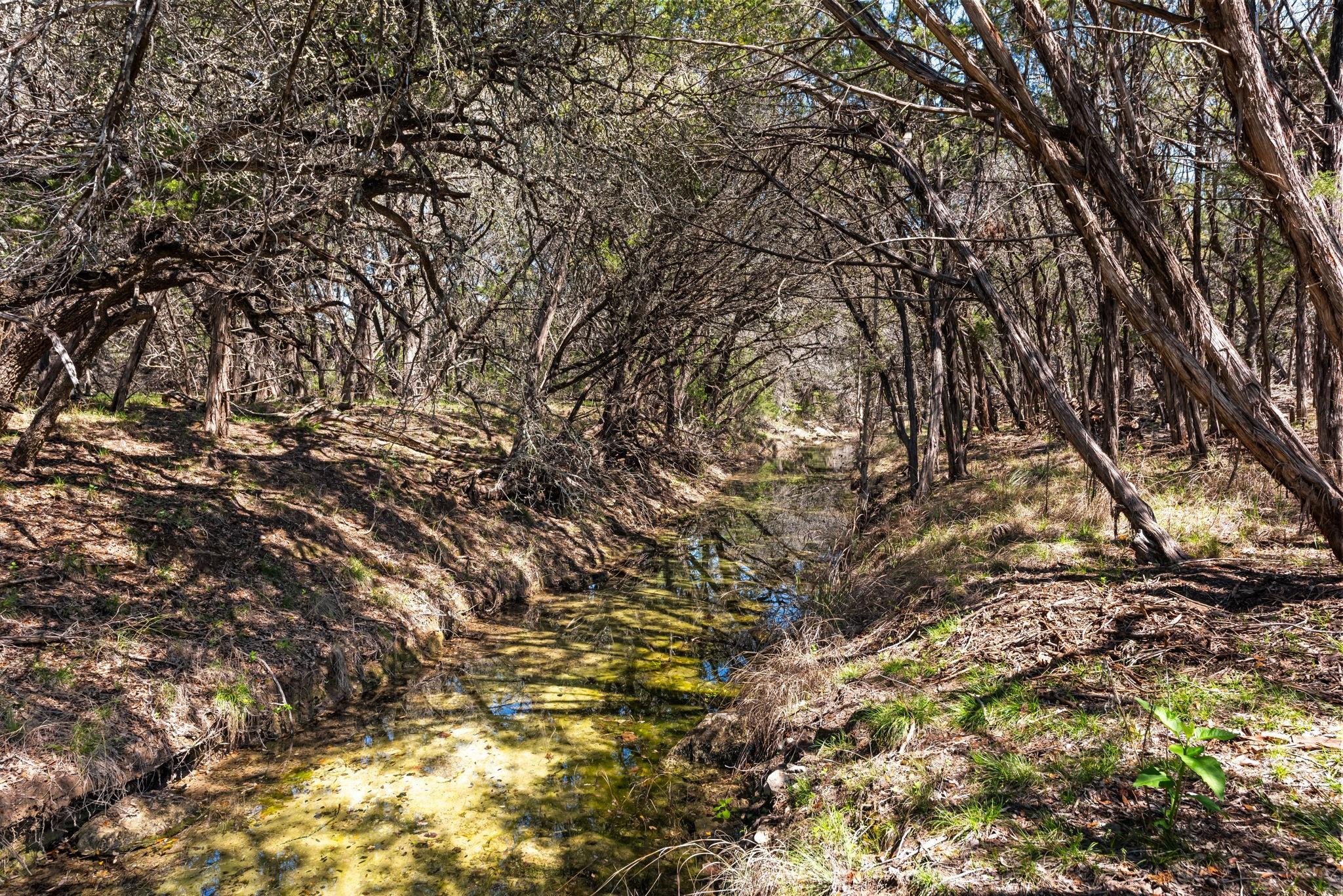 1725 Cripple Creek Station Dripping Springs TX 78620