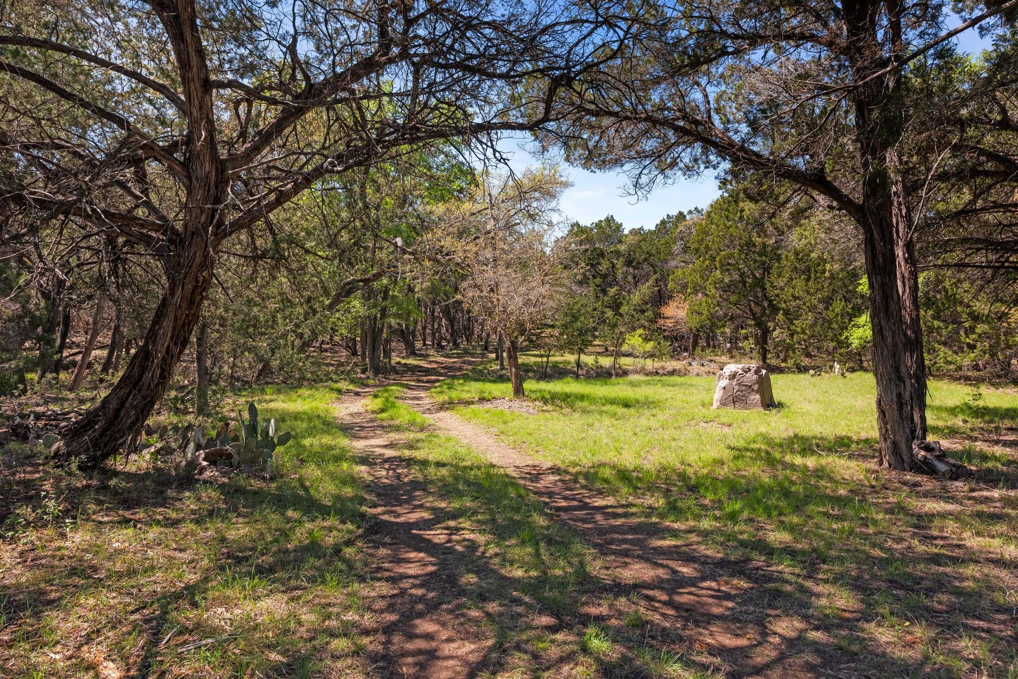 1725 Cripple Creek Station Dripping Springs TX 78620