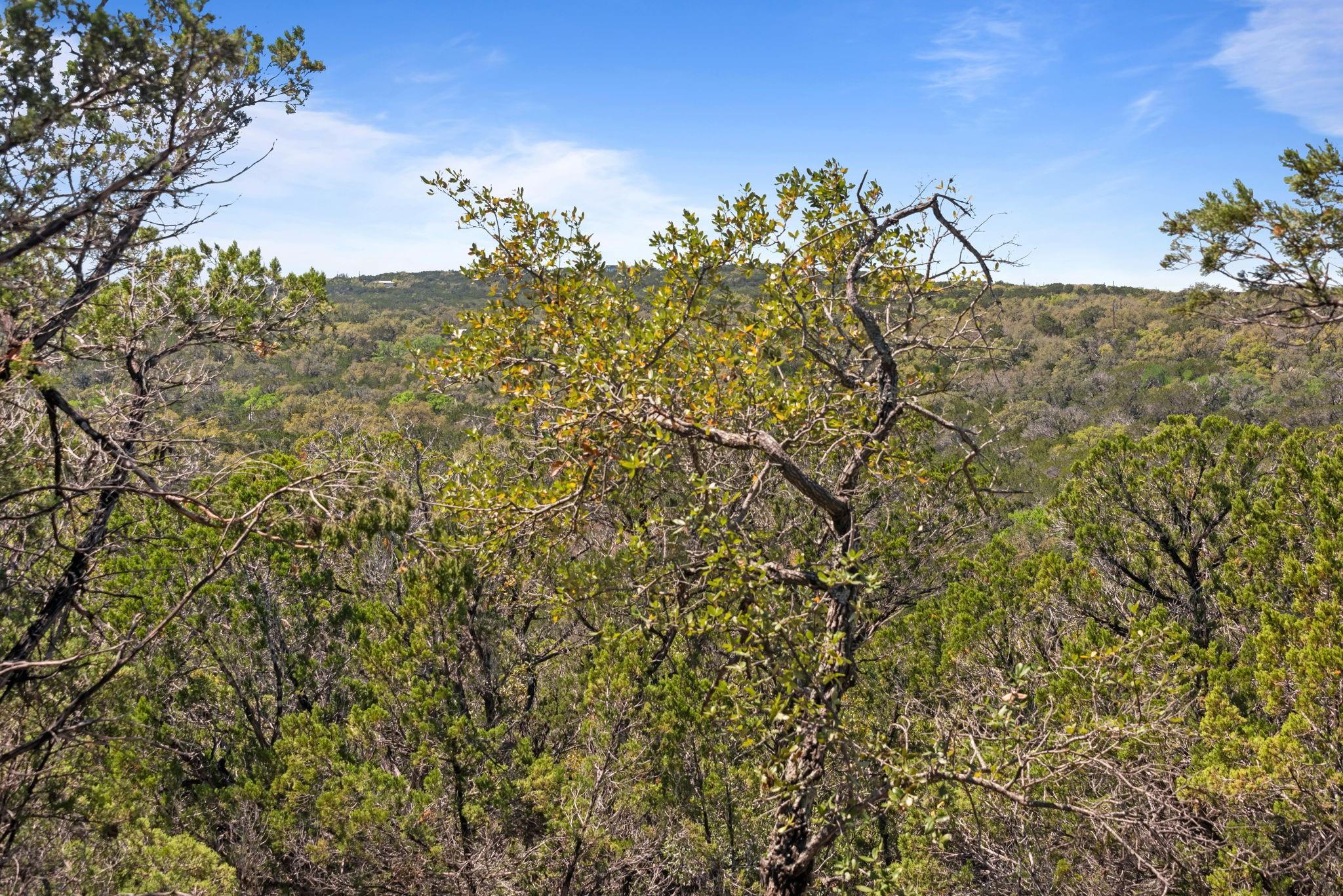 1725 Cripple Creek Station Dripping Springs TX 78620