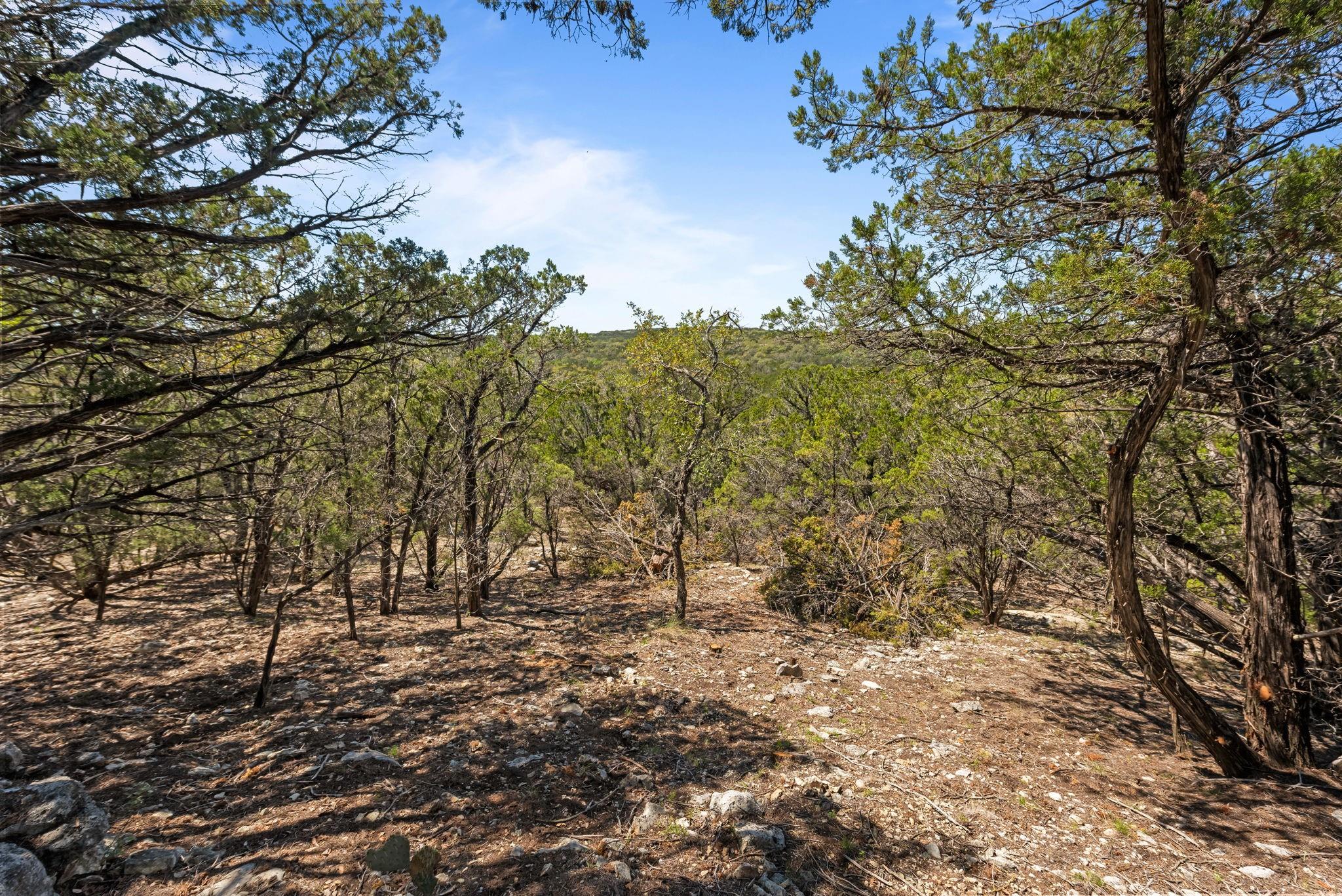 1725 Cripple Creek Station Dripping Springs TX 78620