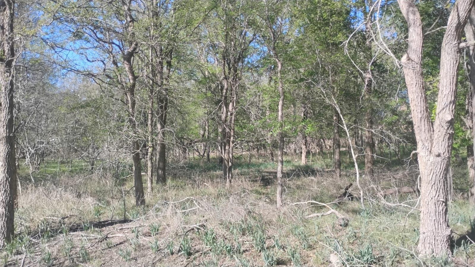 130 W Keomuku Lane Bastrop TX 78602