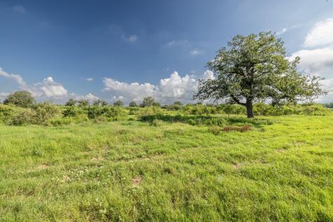 Lot 1-b County Road 491 Gonzales TX 78629