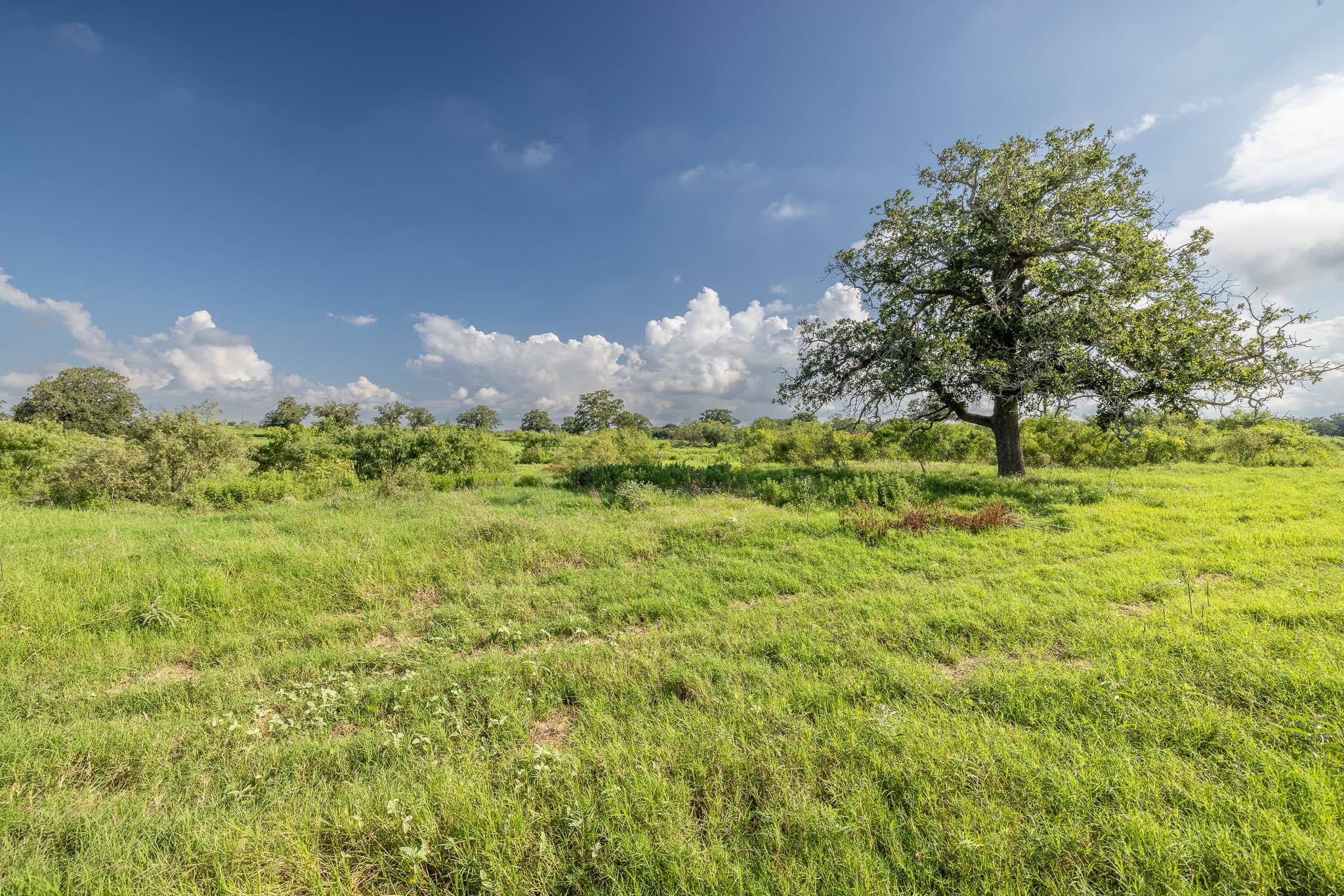 Lot 1-b County Road 491 Gonzales TX 78629