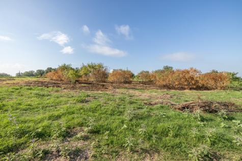 Lot 1-b County Road 491 Gonzales TX 78629