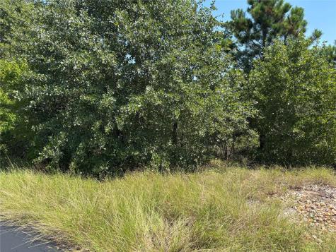464 Ori Court Bastrop TX 78602