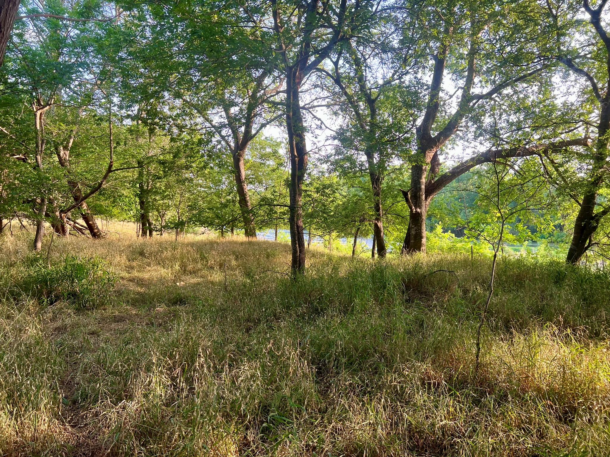 0000 Hidden Shores Road Smithville TX 78957