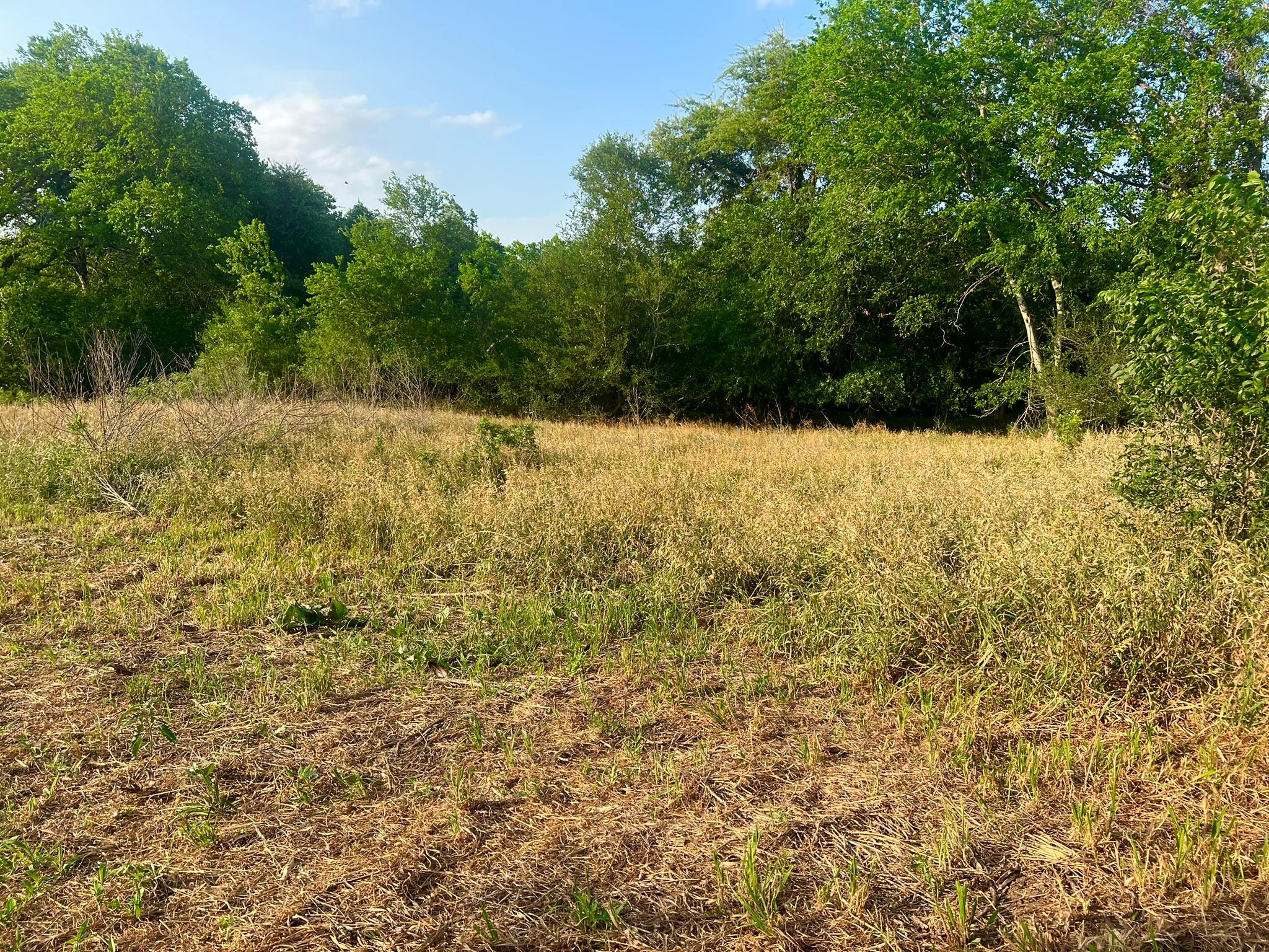 0000 Hidden Shores Road Smithville TX 78957