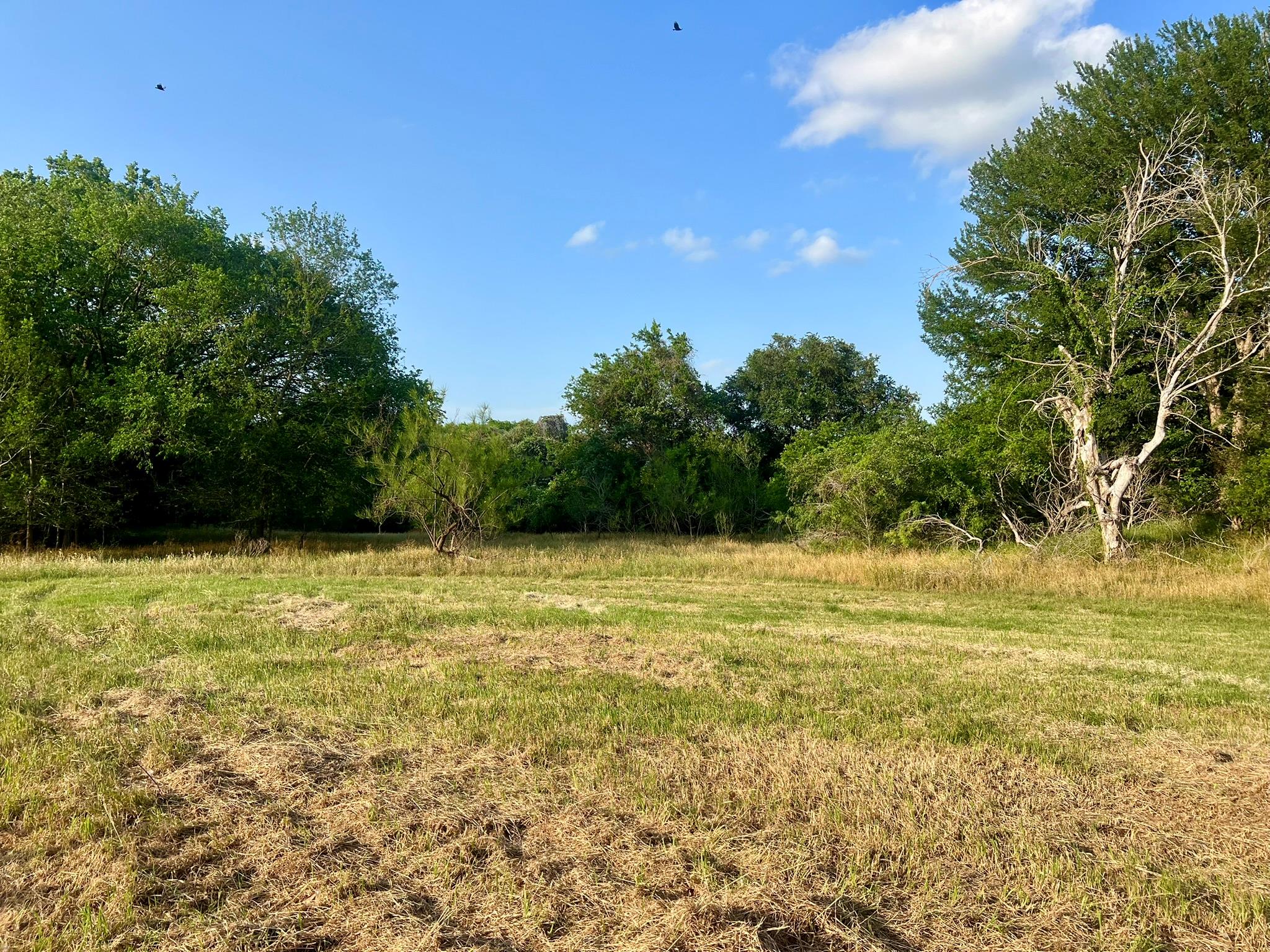 0000 Hidden Shores Road Smithville TX 78957