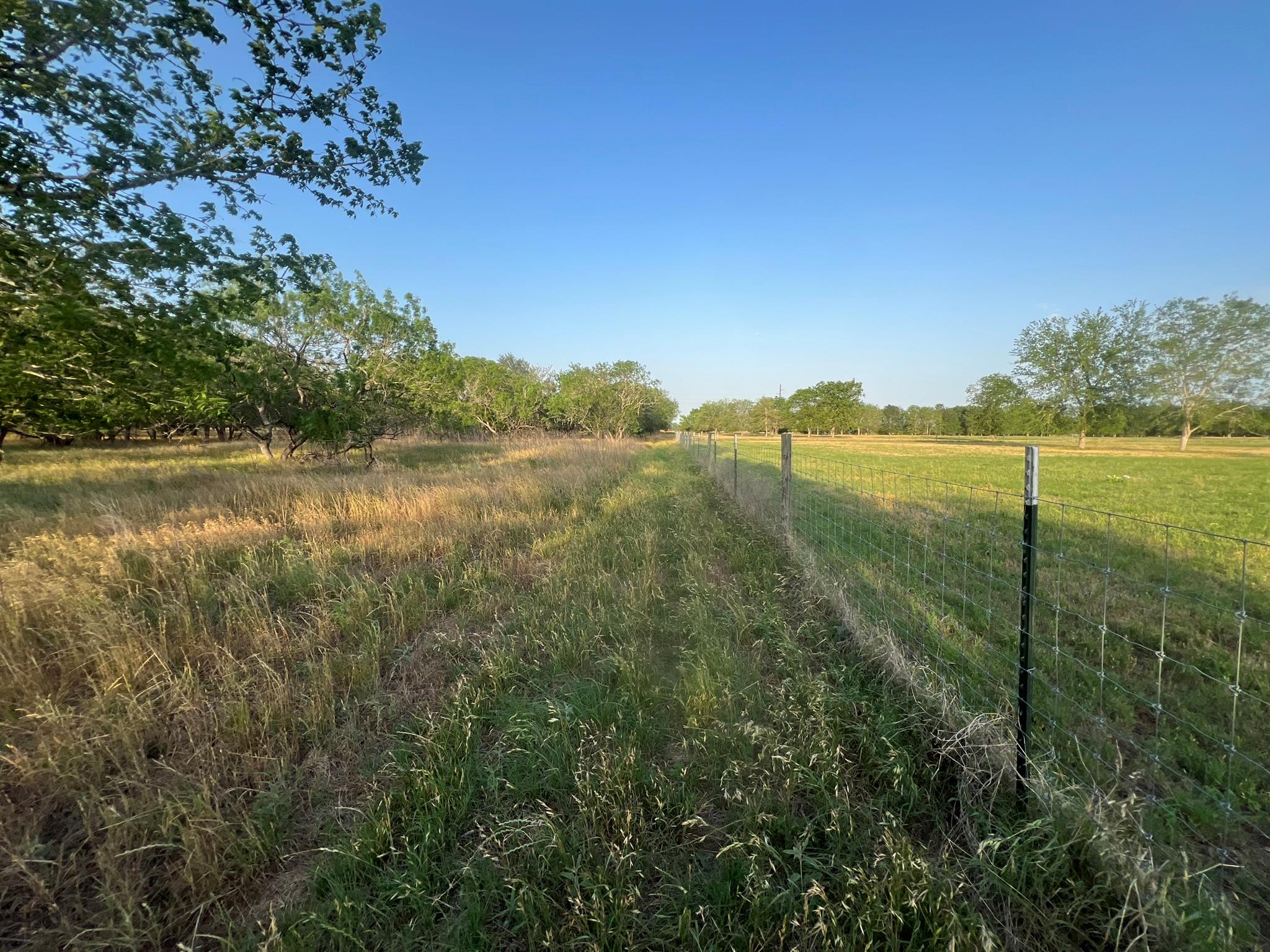 0000 Hidden Shores Road Smithville TX 78957