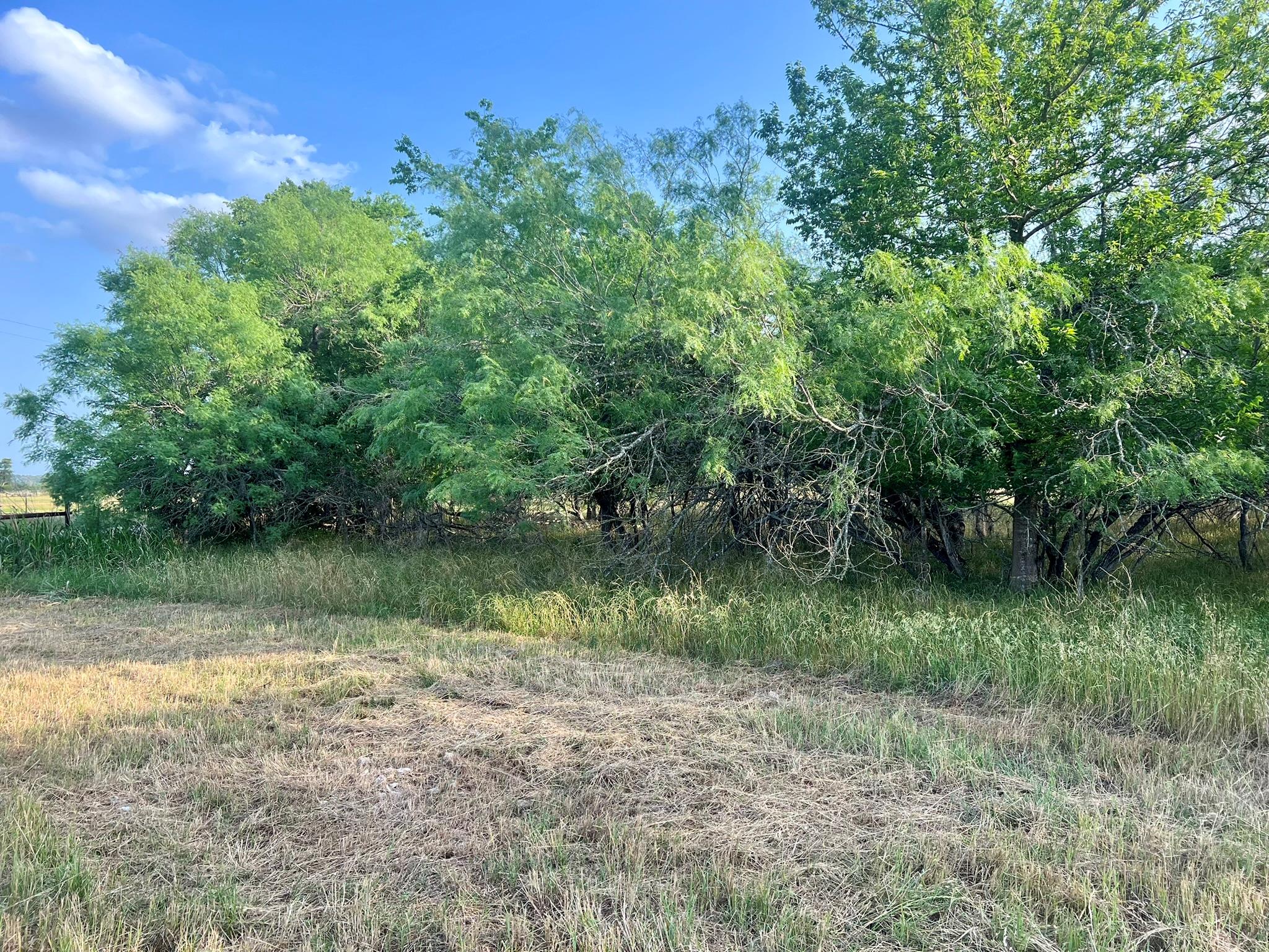 0000 Hidden Shores Road Smithville TX 78957