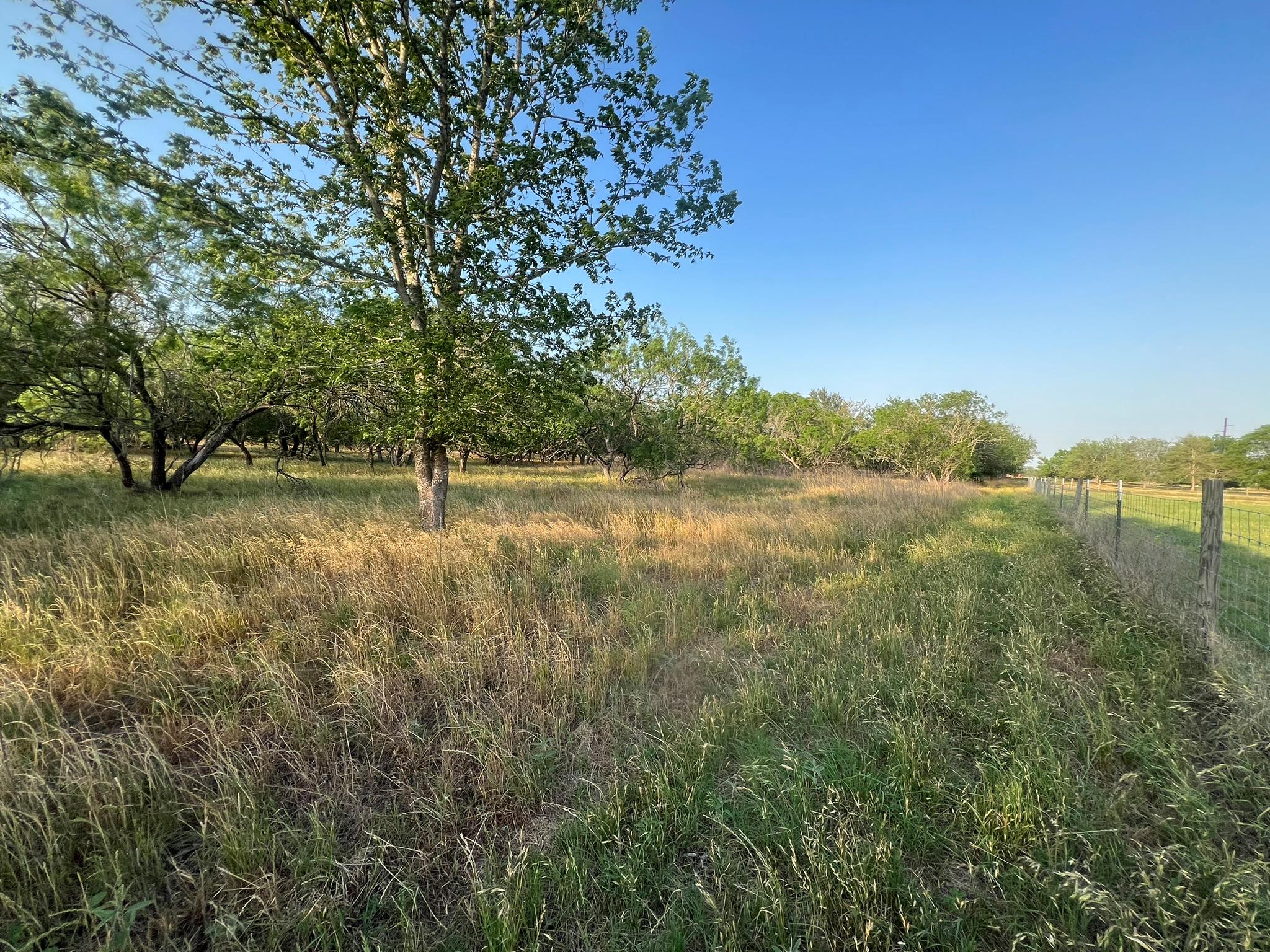0000 Hidden Shores Road Smithville TX 78957