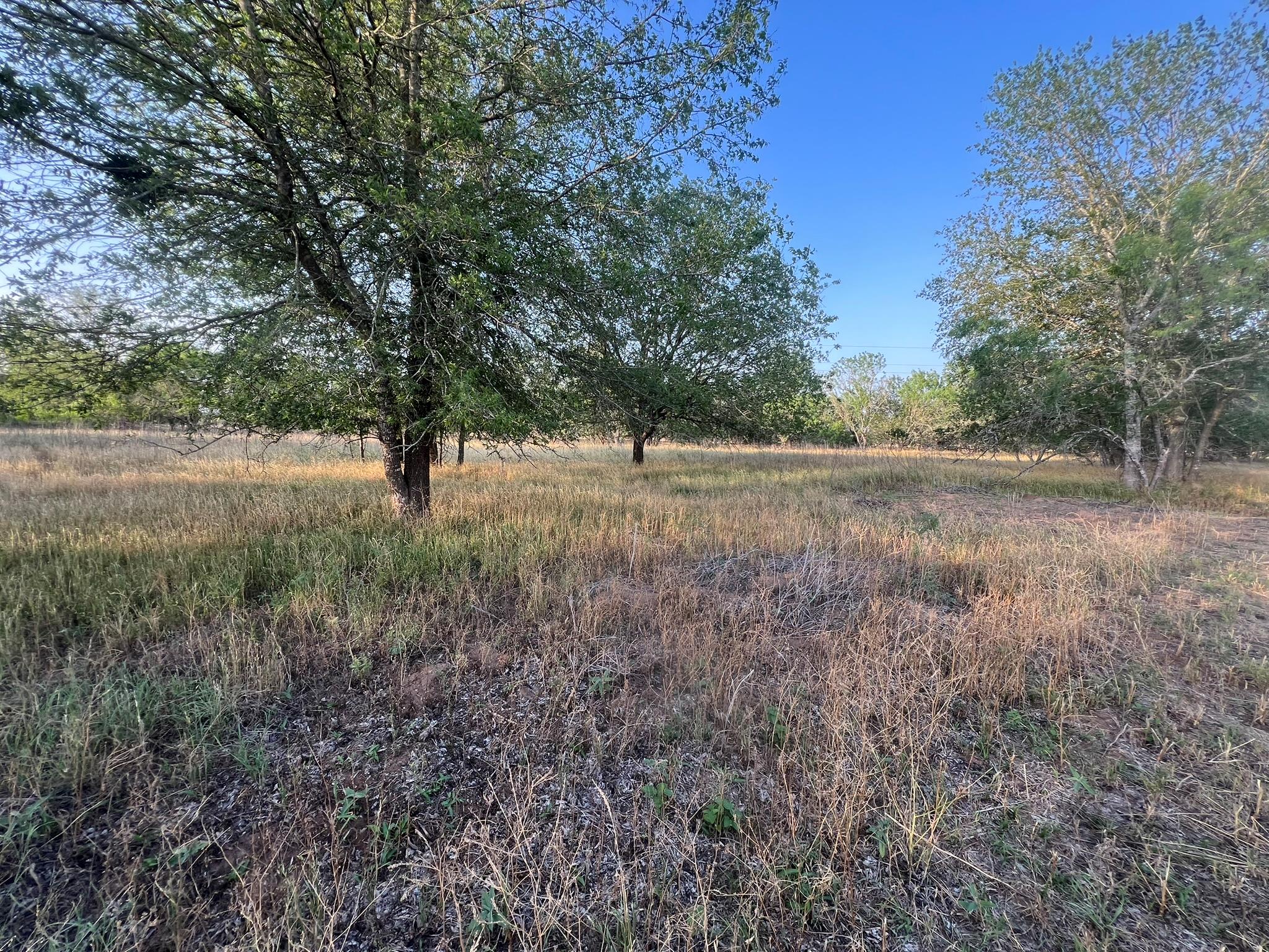 0000 Hidden Shores Road Smithville TX 78957