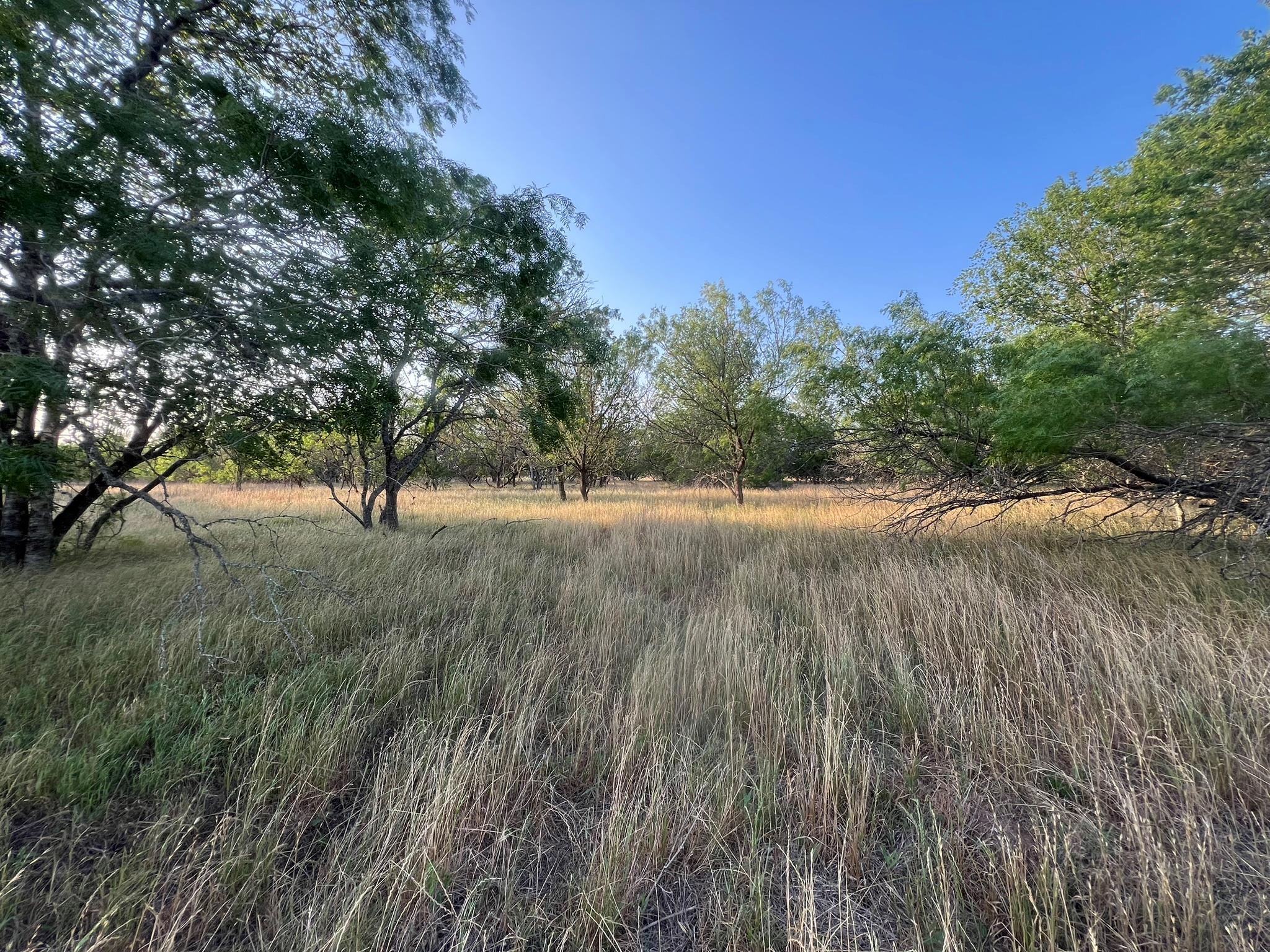 0000 Hidden Shores Road Smithville TX 78957